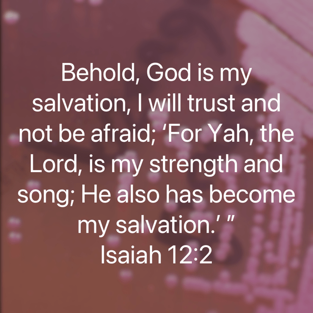 Isaiah 12:2 NKJV
The background is Burkholderia pseudomallei on Ashdown media. The photograph was shot by Dr Gary Lum at Royal Darwin Hospital.