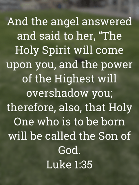 image bears the text:
And the angel answered and said to her, "The Holy Spirit will come upon you, and the power of the Highest will overshadow you;
therefore, also, that Holy One who is to be born will be called the Son of God.
Luke 1:35
The background is a blurred photograph of grass at Henley Beach. It was shot by Gary Lum.