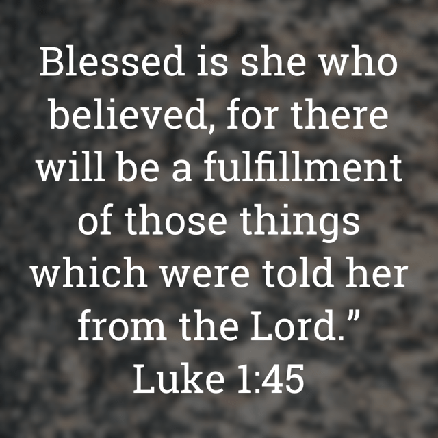 The image bears the text:
Blessed is she who believed, for there will be a fulfillment of those things which were told her from the Lord." Luke 1:45
The background is a tree trunk in Henley Beach. The image is shot by Gary Lum.