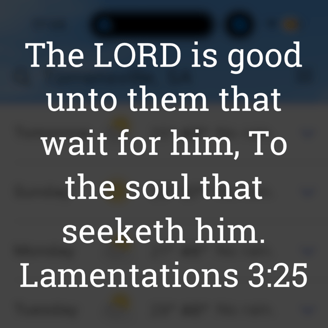 The image bears the text:
The LORD is good unto them that wait for him, To the soul that seeketh him.
Lamentations 3:25 KJV
