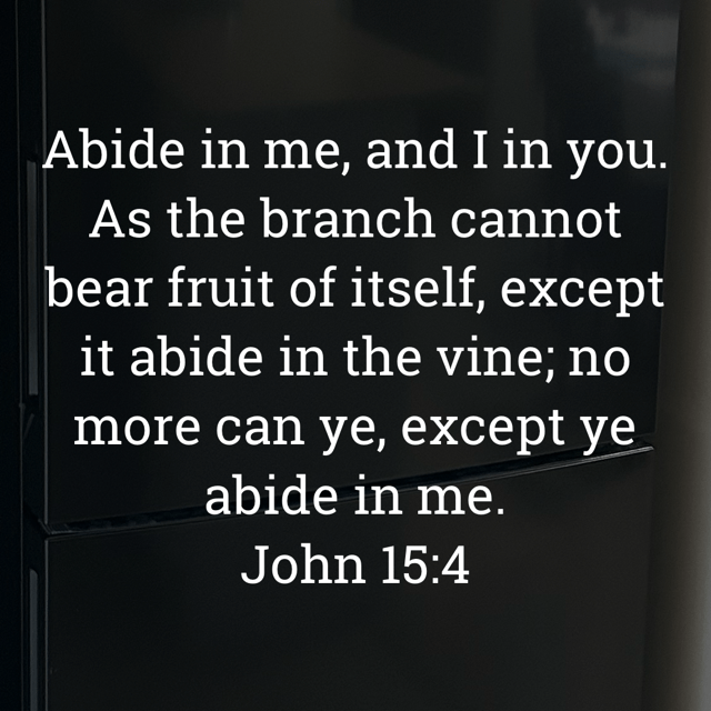 The image bears the text:

Abide in me, and I in you.
As the branch cannot bear fruit of itself, except it abide in the vine; no more can ye, except ye abide in me.
John 15:4 KJV