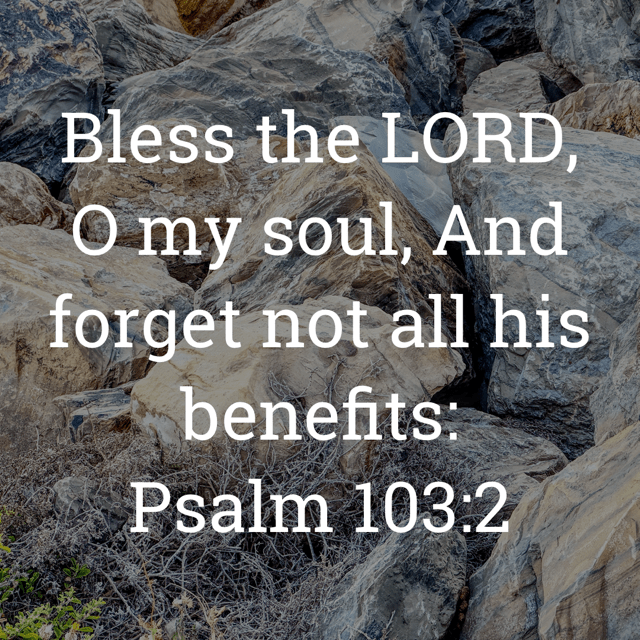 The image bears the text:
Bless the LORD, O my soul, And forget not all his benefits:
Psalm 103:2 KJV