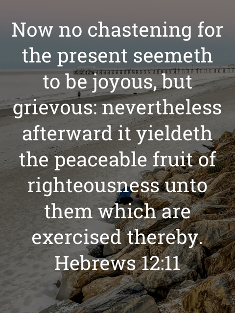 The image bears the text: Now no chastening for the present seemeth to be joyous, but grievous: nevertheless afterward it yieldeth the peaceable fruit of righteousness unto them which are exercised thereby.
Hebrews 12:11 KJV
