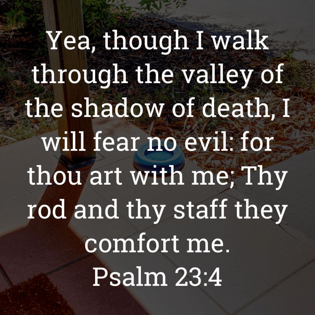 The image bears the text:
Yea, though I walk through the valley of the shadow of death, I will fear no evil: for thou art with me; Thy rod and thy staff they comfort me.
Psalm 23:4 KJV