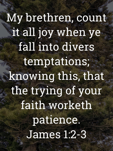 The image bears the text:
My brethren, count it all joy when ye fall into divers temptations;
knowing this, that the trying of your faith worketh patience.
James 1:2-3 KJV