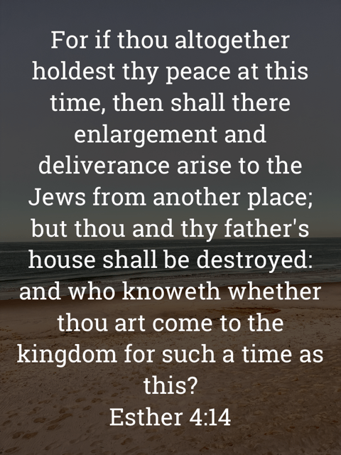 The image bears the text:
For if thou altogether holdest thy peace at this time, then shall there enlargement and deliverance arise to the Jews from another place; but thou and thy father's house shall be destroyed: and who knoweth whether thou art come to the kingdom for such a time as this?
Esther 4:14 KJV