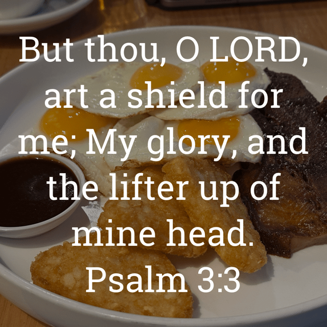 The image bears the text:
But thou, O LORD, art a shield for me; My glory, and the lifter up of mine head.
Psalm 3:3 KJV
