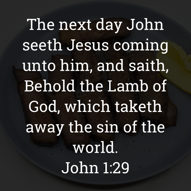 The image bears the text:
The next day John seeth Jesus coming unto him, and saith, Behold the Lamb of God, which taketh away the sin of the world.
John 1:29 KJV