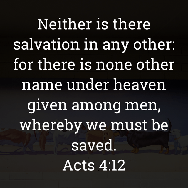 The image bears the text:
Neither is there salvation in any other: for there is none other name under heaven given among men, whereby we must be saved.
Acts 4:12 KJV