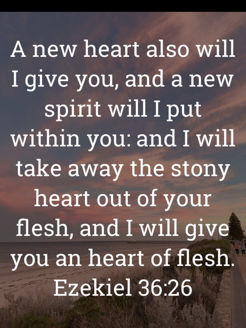 The image bears the text:
A new heart also will I give you, and a new spirit will I put within you: and I will take away the stony heart out of your flesh, and I will give you an heart of flesh.
Ezekiel 36:26 KJV