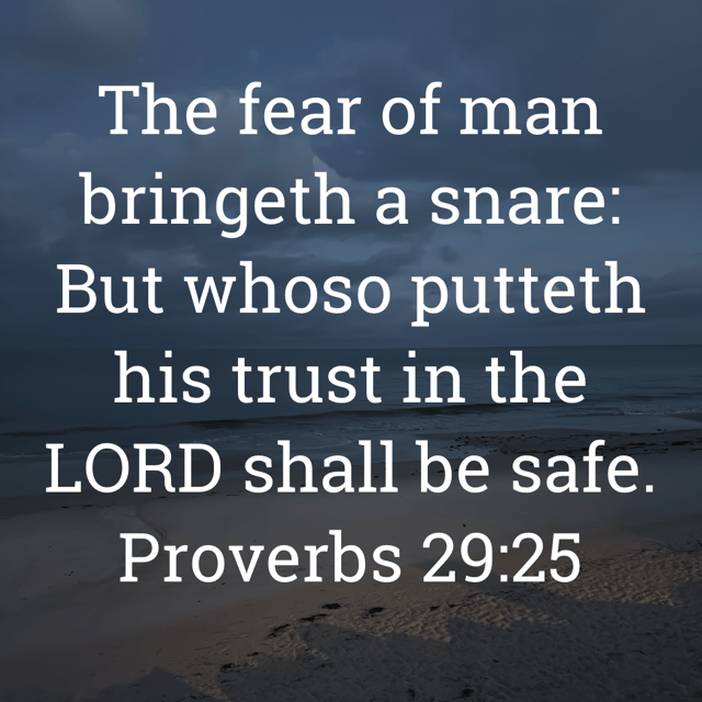 The image bears the text:
The fear of man bringeth a snare:
But whoso putteth his trust in the
LORD shall be safe.
Proverbs 29:25 KJV