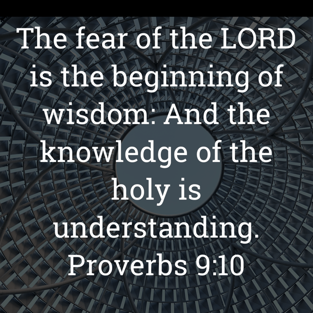 The image bears the text:
The fear of the LORD is the beginning of wisdom. And the knowledge of the holy is
understanding.
Proverbs 9:10 KJV