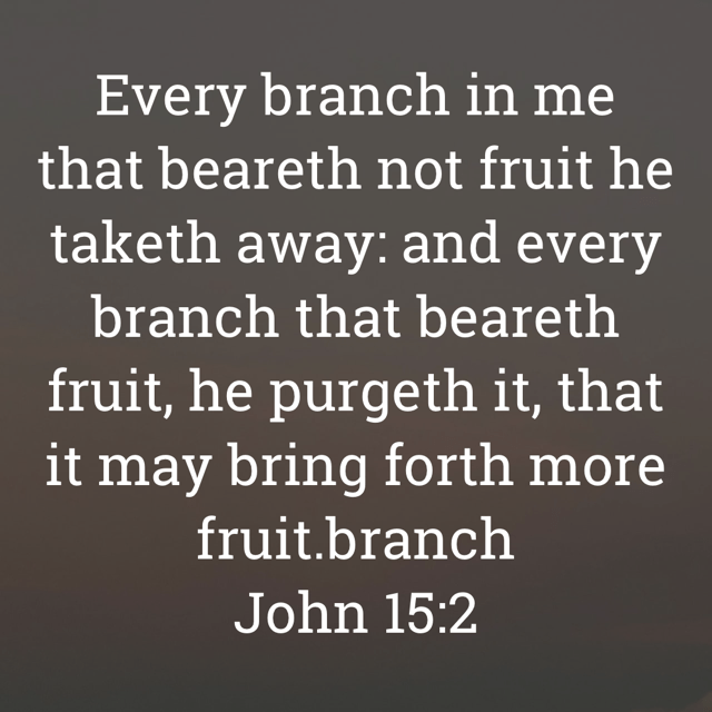 The image bears the text:
Every branch in me that beareth not fruit he taketh away: and every branch that beareth fruit, he purgeth it, that it may bring forth more fruit.
John 15:2 KJV