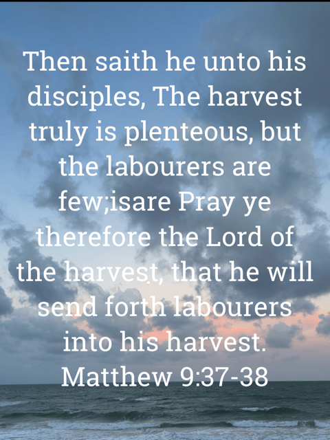 The image bears the text:
Then saith he unto his disciples, The harvest truly is plenteous, but the labourers are few;isare Pray ye therefore the Lord of the harvest, that he will send forth labourers into his harvest.
Matthew 9:37–38 KJV