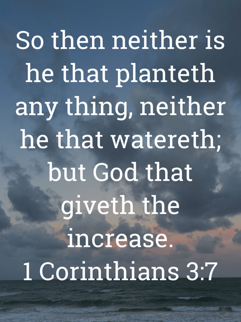 The image bears the text:
So then neither is he that planteth any thing, neither he that watereth; but God that giveth the increase.
1 Corinthians 3:7 KJV