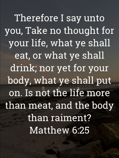 The image bears the text:
Therefore I say unto you, Take no thought for your life, what ye shall eat, or what ye shall drink; nor yet for your body, what ye shall put on. Is not the life more than meat, and the body than raiment?
Matthew 6:25 KJV