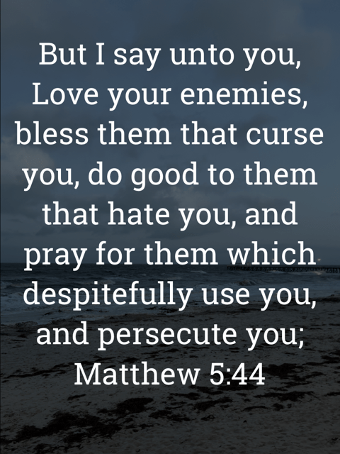 The image bears the text:
But I say unto you, Love your enemies, bless them that curse you, do good to them that hate you, and pray for them which despitefully use you, and persecute you;
Matthew 5:44 KJV
