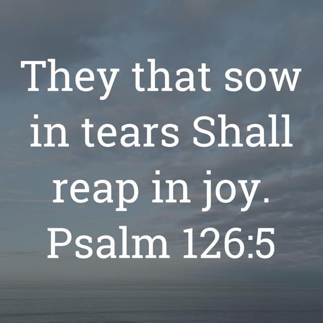 The image bears the text:
They that sow in tears Shall reap in joy.
Psalm 126:5 KJV
