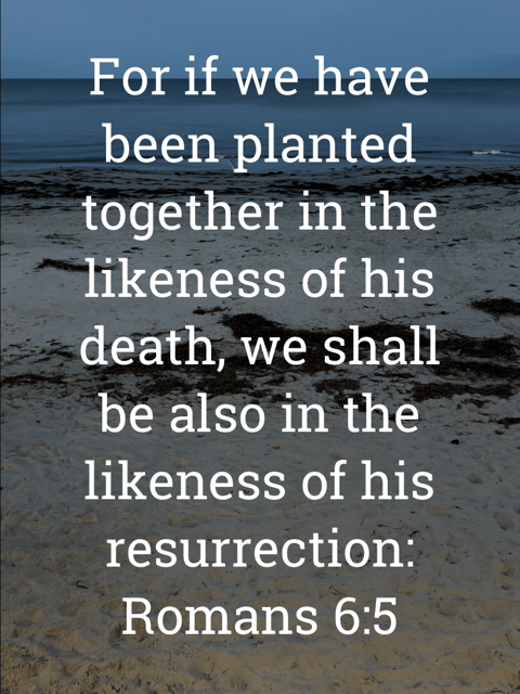 The image bears the text:
For if we have been planted together in the likeness of his death, we shall be also in the likeness of his resurrection:
Romans 6:5 KJV