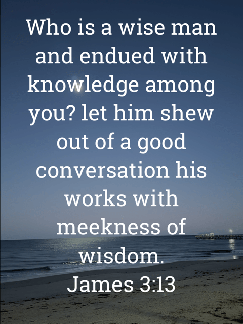 The image bears the text:
Who is a wise man and endued with knowledge among you? let him shew out of a good conversation his works with meekness of wisdom.
James 3:13 KJV
