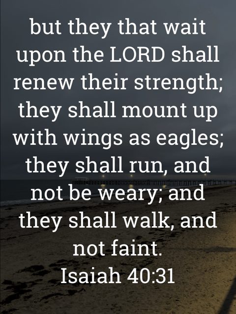 The image bears the text:
but they that wait upon the LORD shall renew their strength; they shall mount up with wings as eagles; they shall run, and not be weary; and they shall walk, and not faint.
Isaiah 40:13 KJV
