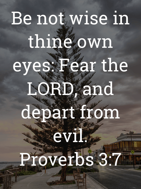 The image bears the text:
Be not wise in thine own eyes: Fear the LORD, and depart from evil
Proverbs 3.7 KJV