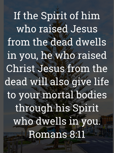 The image bears the text:
If the Spirit of him who raised Jesus from the dead dwells in you, he who raised Christ Jesus from the dead will also give life to your mortal bodies through his Spirit who dwells in you.
Romans 8:11 ESV