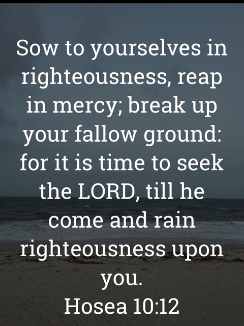 The image bears the text:
Sow to yourselves in righteousness, reap in mercy; break up your fallow ground: for it is time to seek the LORD, till he come and rain
righteousness upon you.
Hosea 10:12 KJV