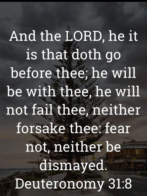 The image bears the text:
And the LORD, he it is that doth go before thee; he will be with thee, he will not fail thee, neither forsake thee: fear not, neither be dismayed.
Deuteronomy 31:8 KJV