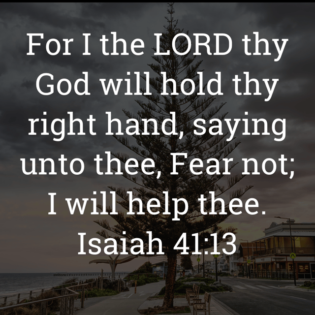 The image bears the text:
For I the LORD thy God will hold thy right hand, saying unto thee, Fear not; I will help thee.
Isaiah 41:13 KJV
