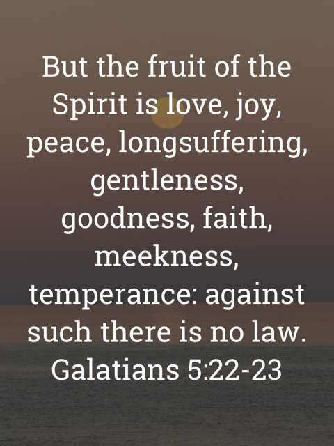 The image bears the text:
But the fruit of the Spirit is love, joy, peace, longsuffering, gentleness, goodness, faith, meekness, temperance: against such there is no law.
Galatians 5:22–23 KJV