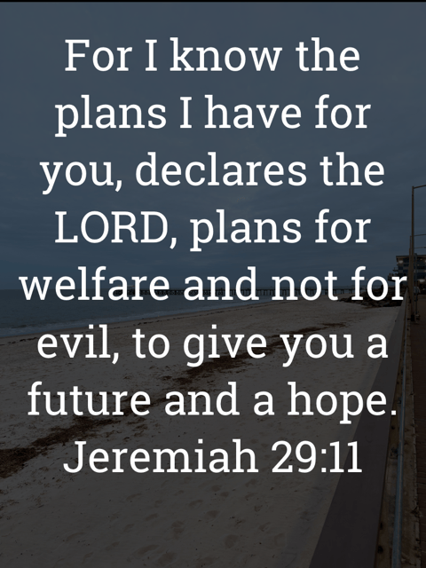 The image bears the text:
For I know the plans I have for you, declares the LORD, plans for welfare and not for evil, to give you a future and a hope.
Jeremiah 29:11 ESV